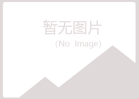 共和县夏彤机械有限公司